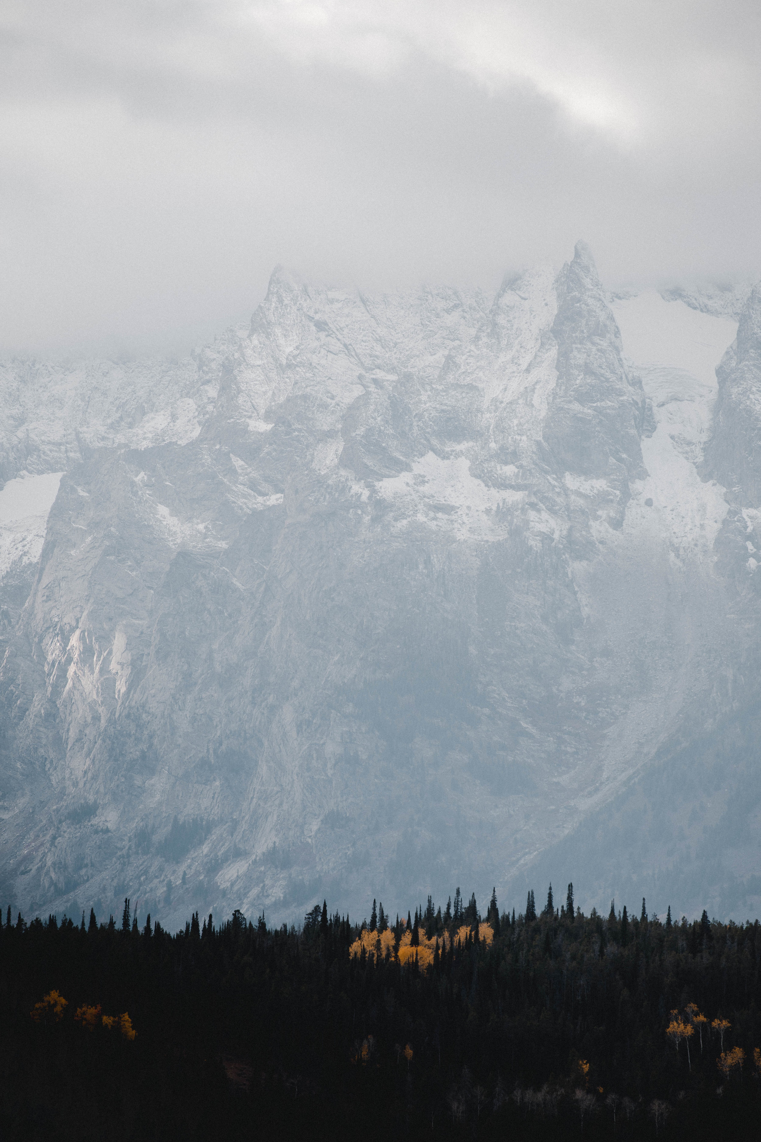 Wyoming Backcountry6.jpg