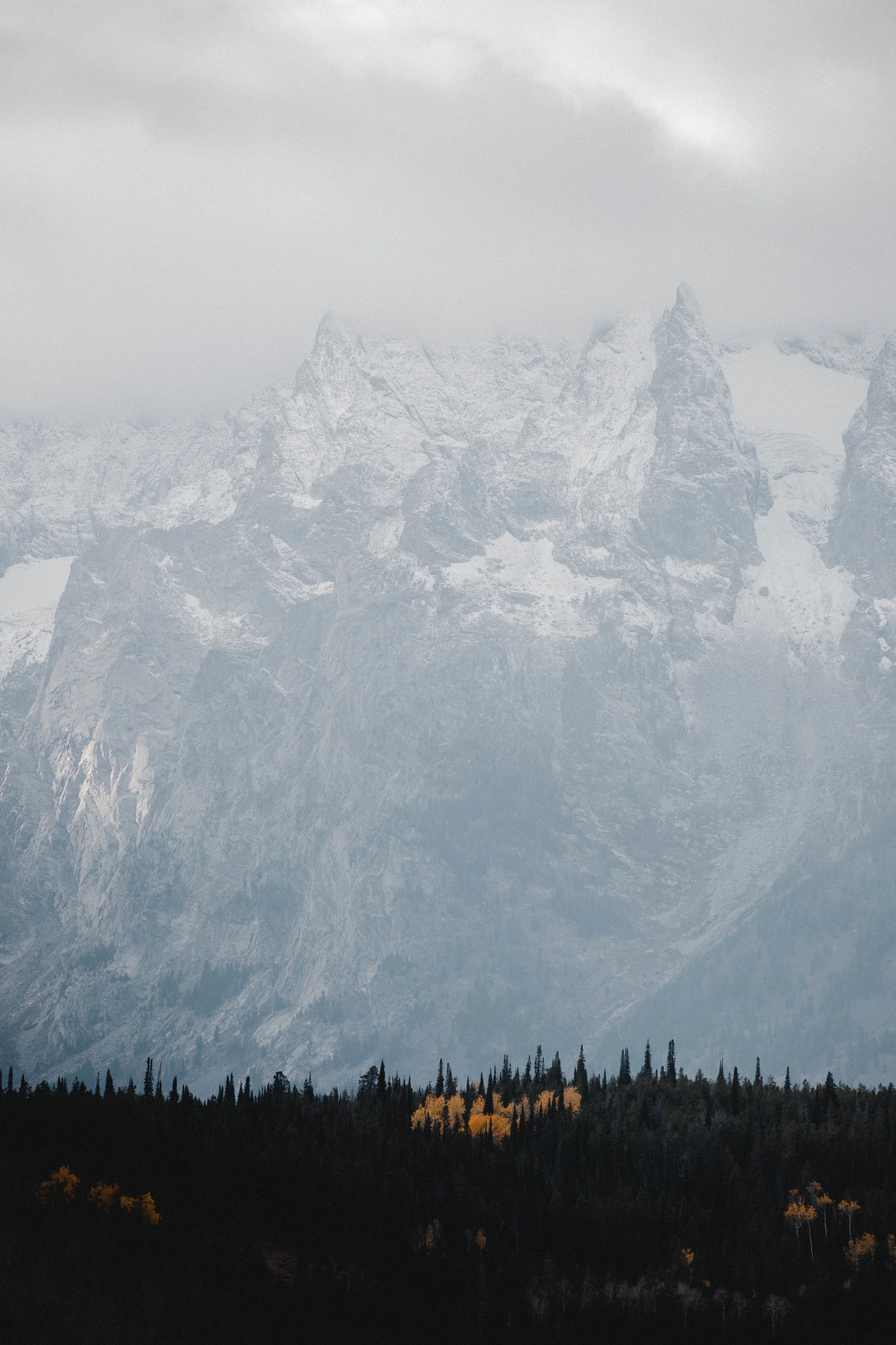 Wyoming Backcountry6.jpg