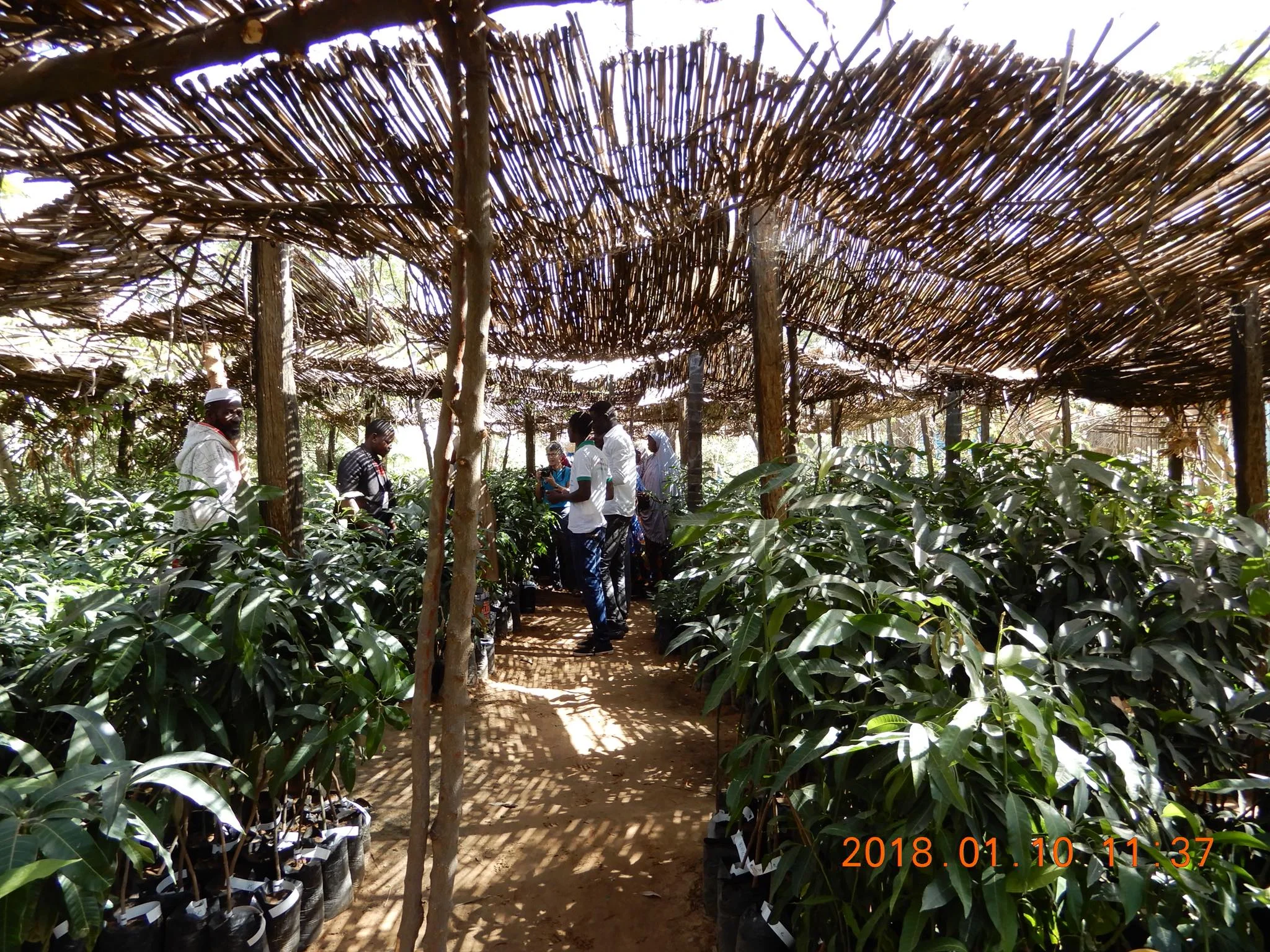 Visiting Farmers of the Future Sites in Niger