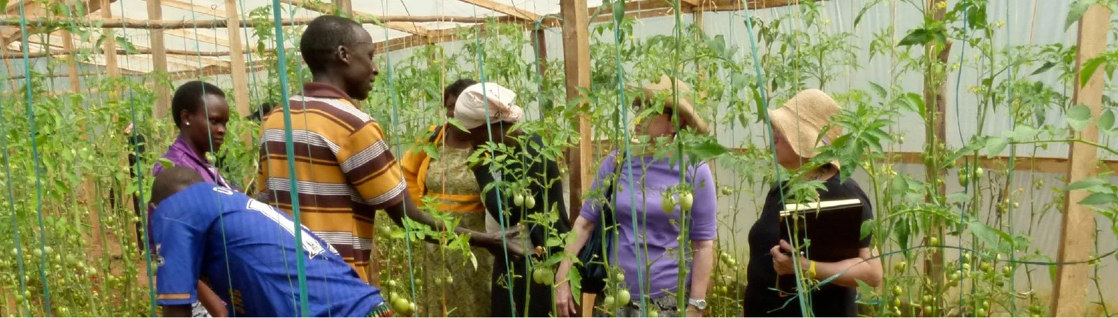 growers-banner.jpg