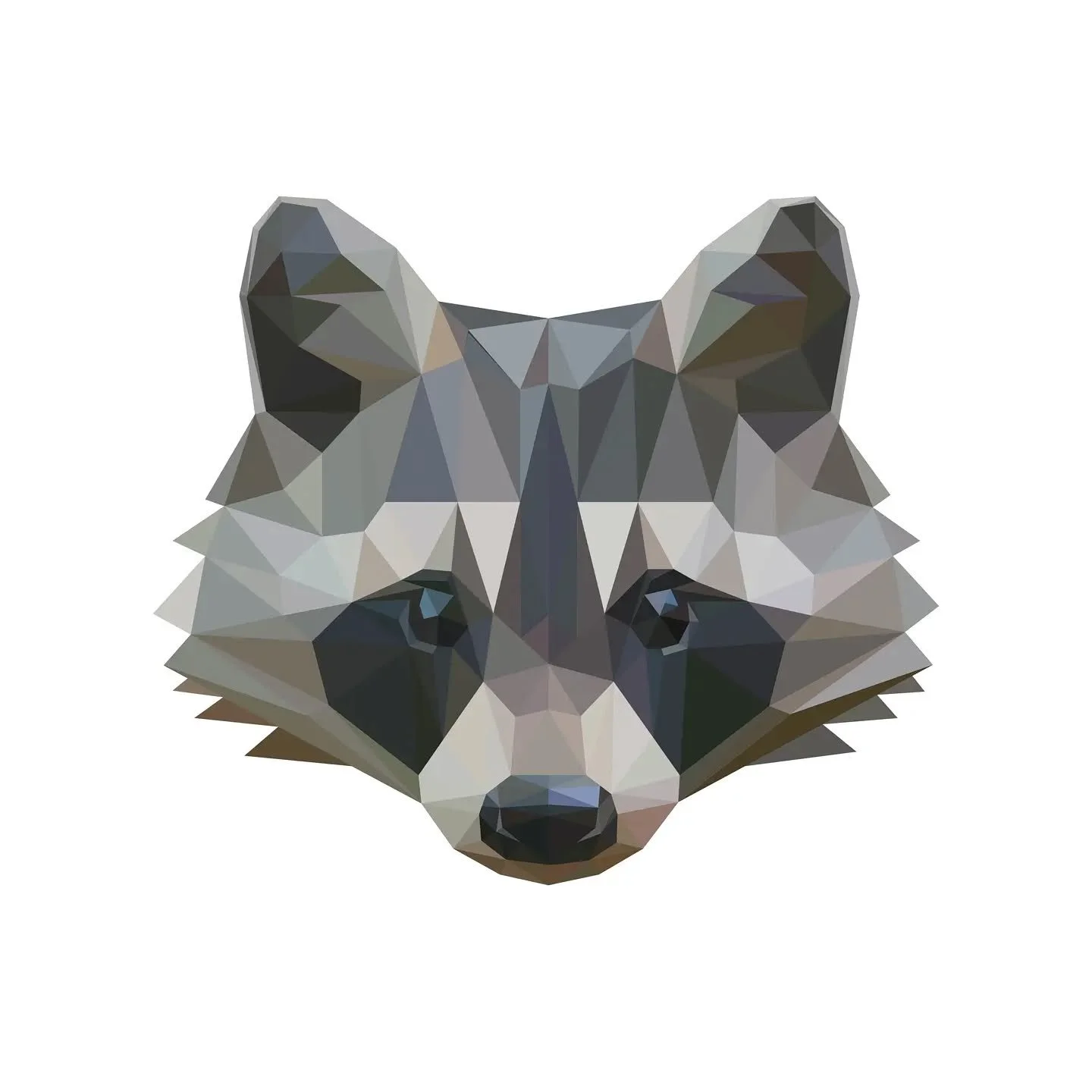 Just a wild little Racoon #sheebaleecreative