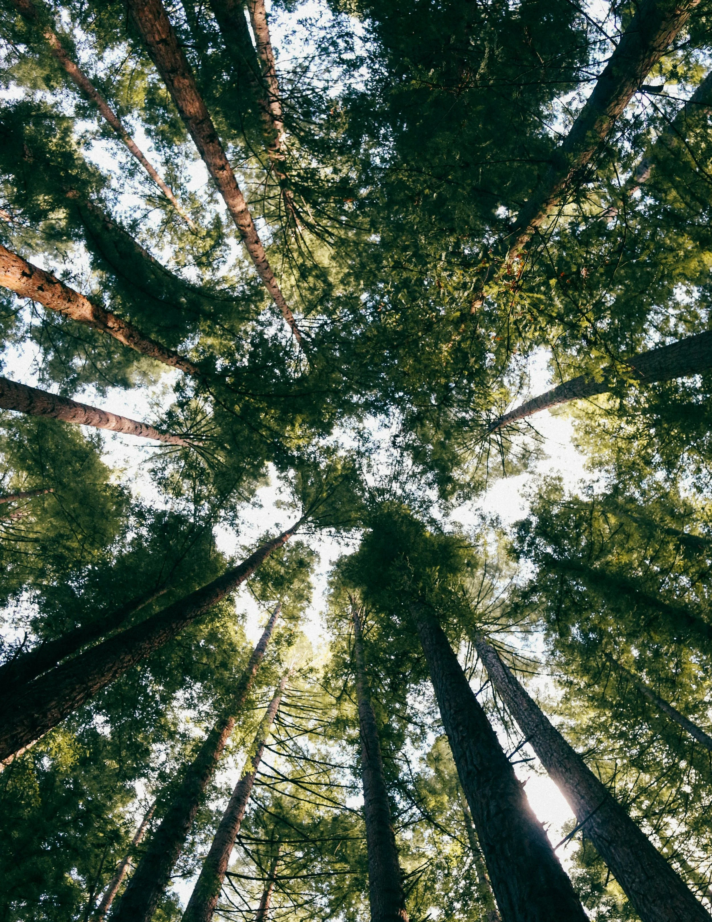 heidi-fin-lMSpfteI34I-unsplash.jpg