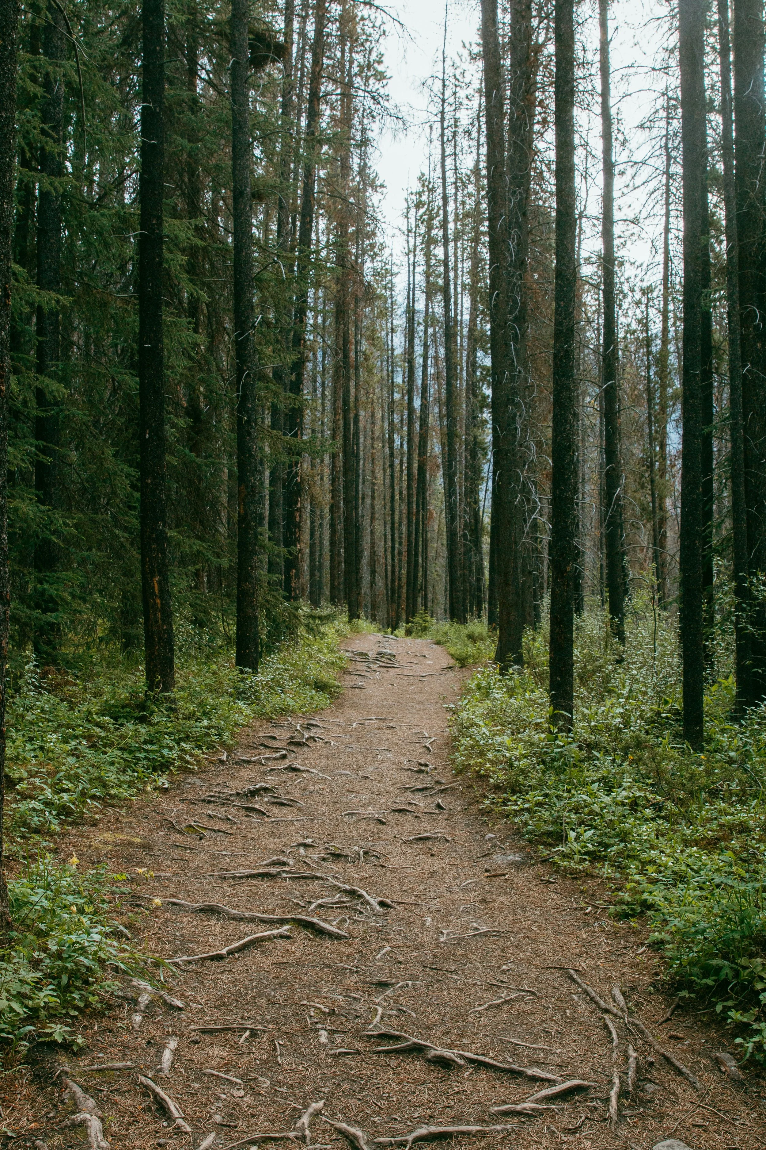 brittany-martin-tiwe-J34e_A-unsplash.jpg