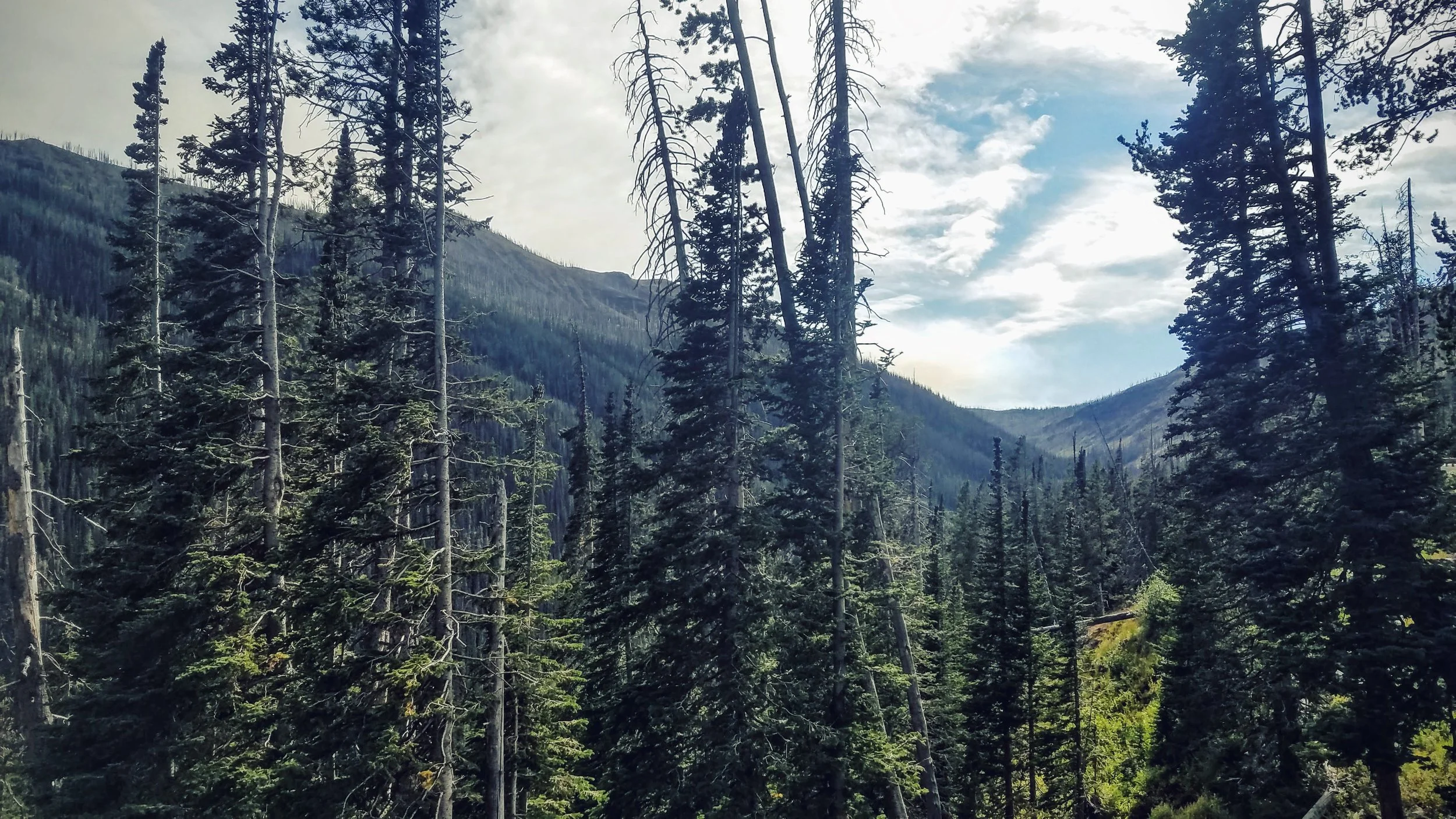 20160822_162631.jpg
