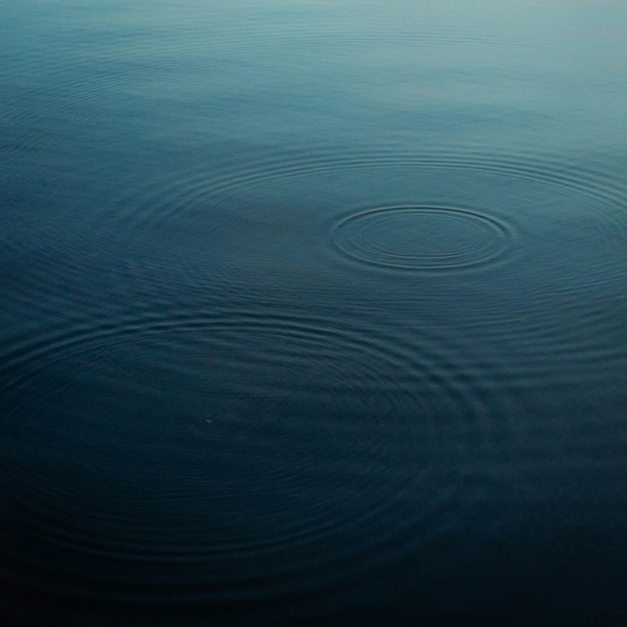 vitaly-k-tC8UXQeeiOg-unsplash (1).jpg