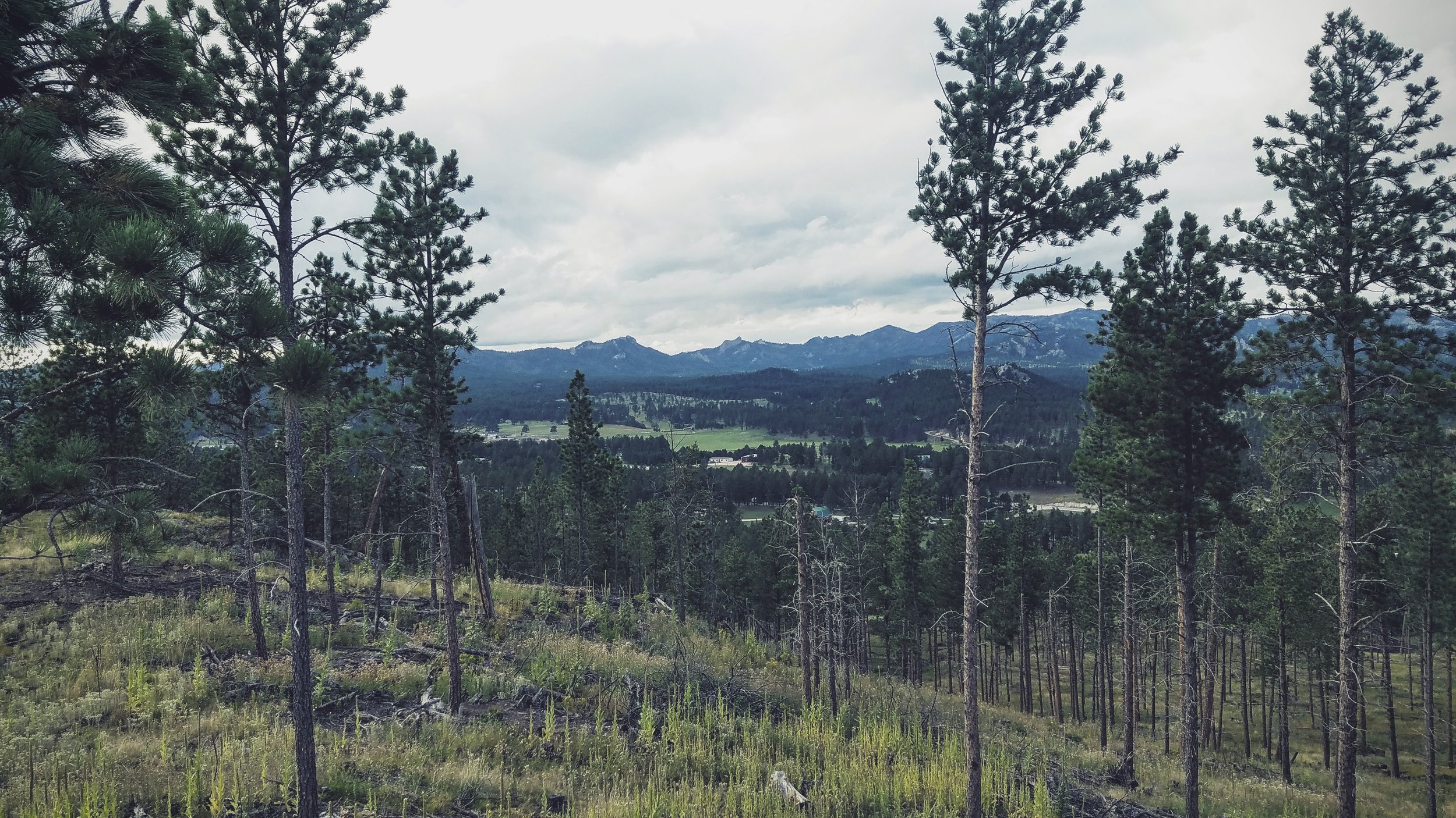 20160825_172003.jpg