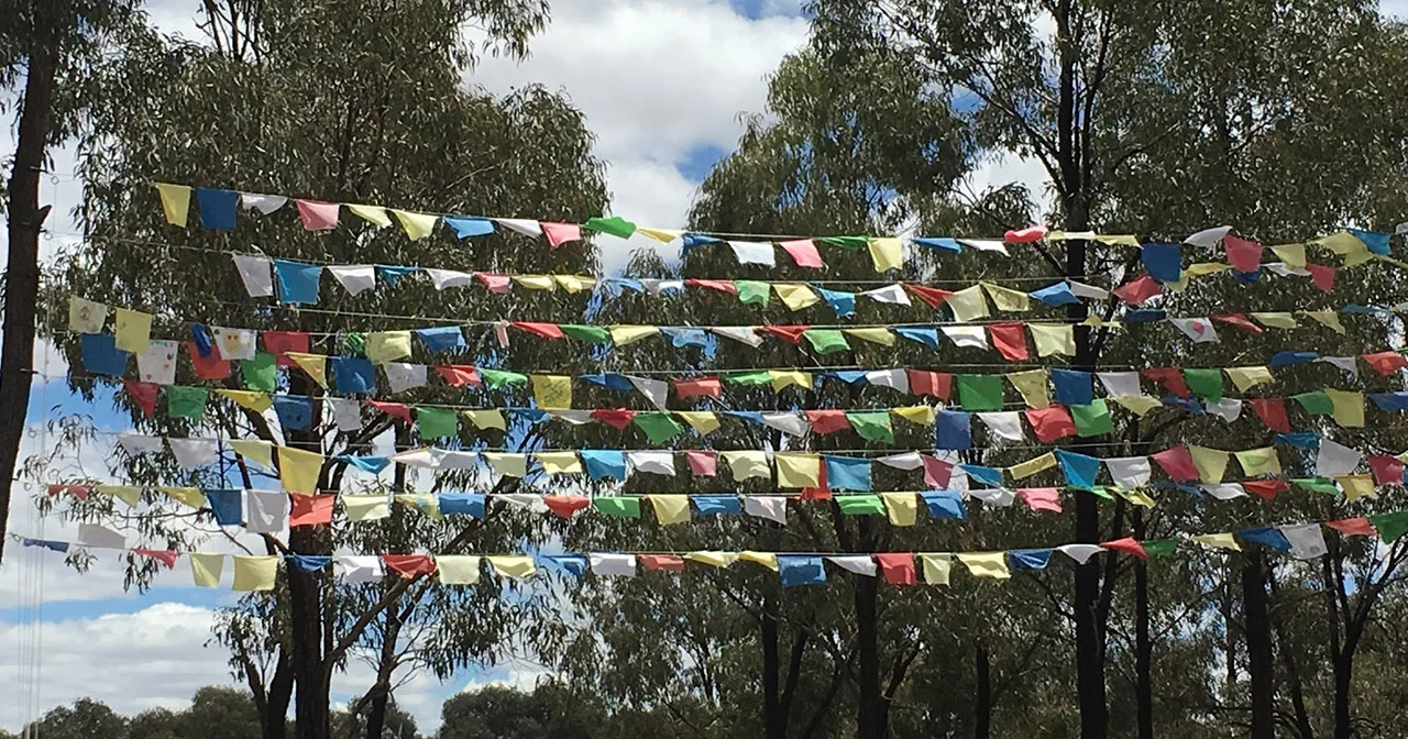 Prayer flags through the gum trees. photo by Catherine Schieve