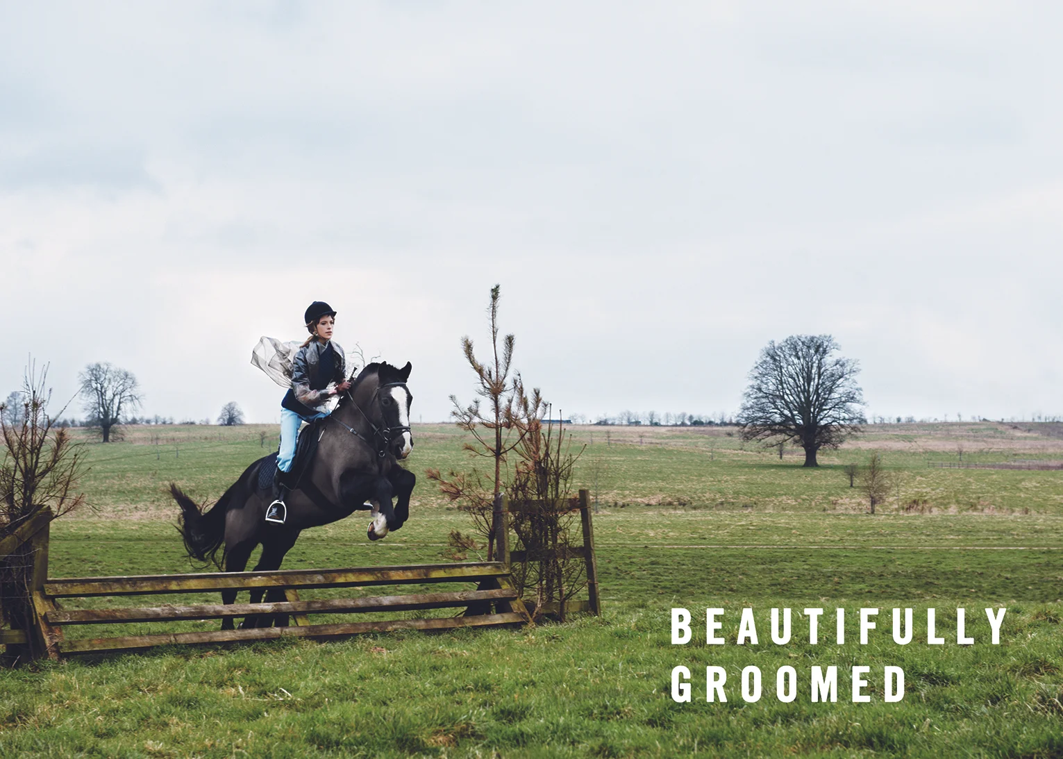 "BEAUTIFULLY GROOMED" PHOTOGRAPHER / Pamela Hanson view story