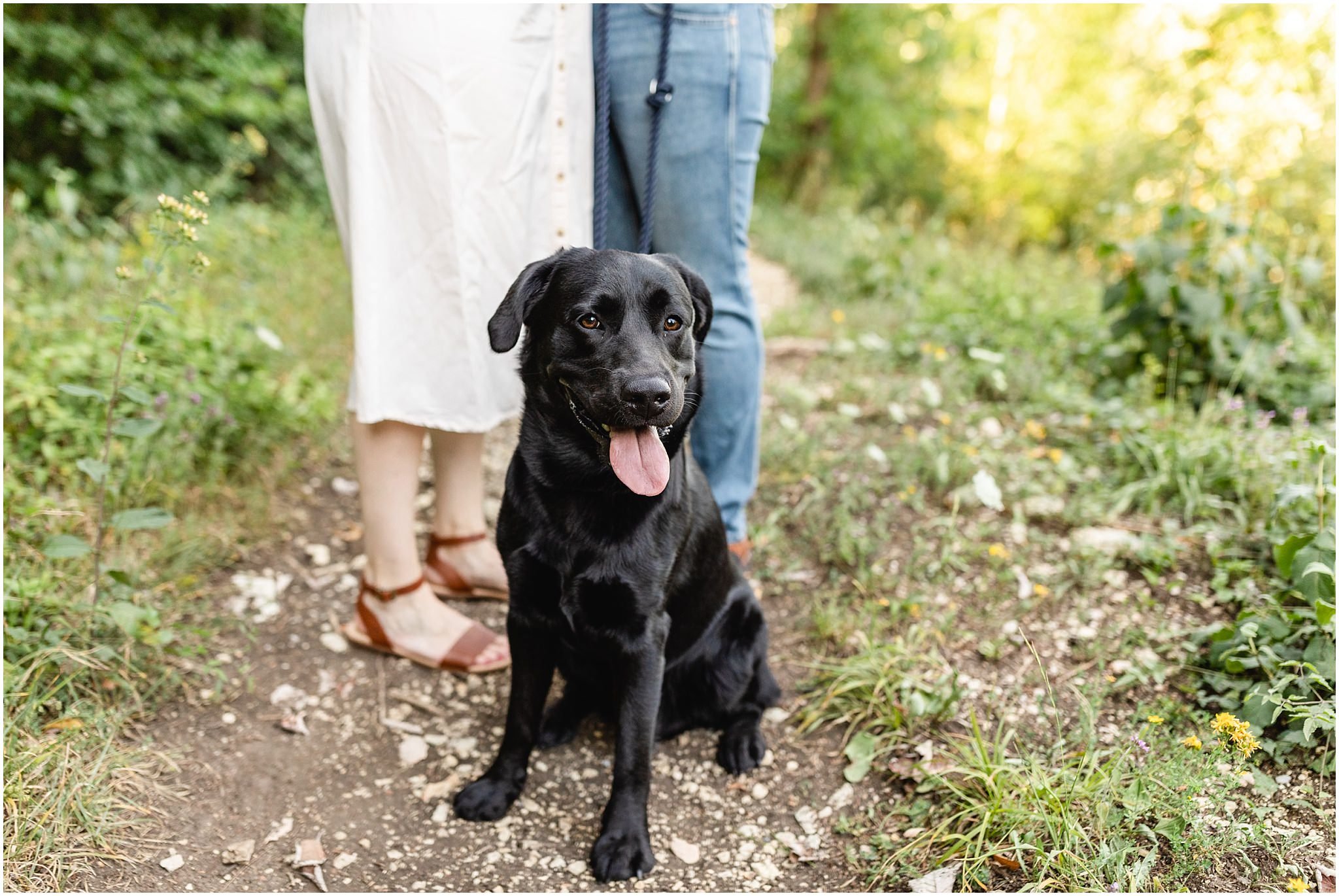 EngagementShoot-with-dog-labrador_2.jpg