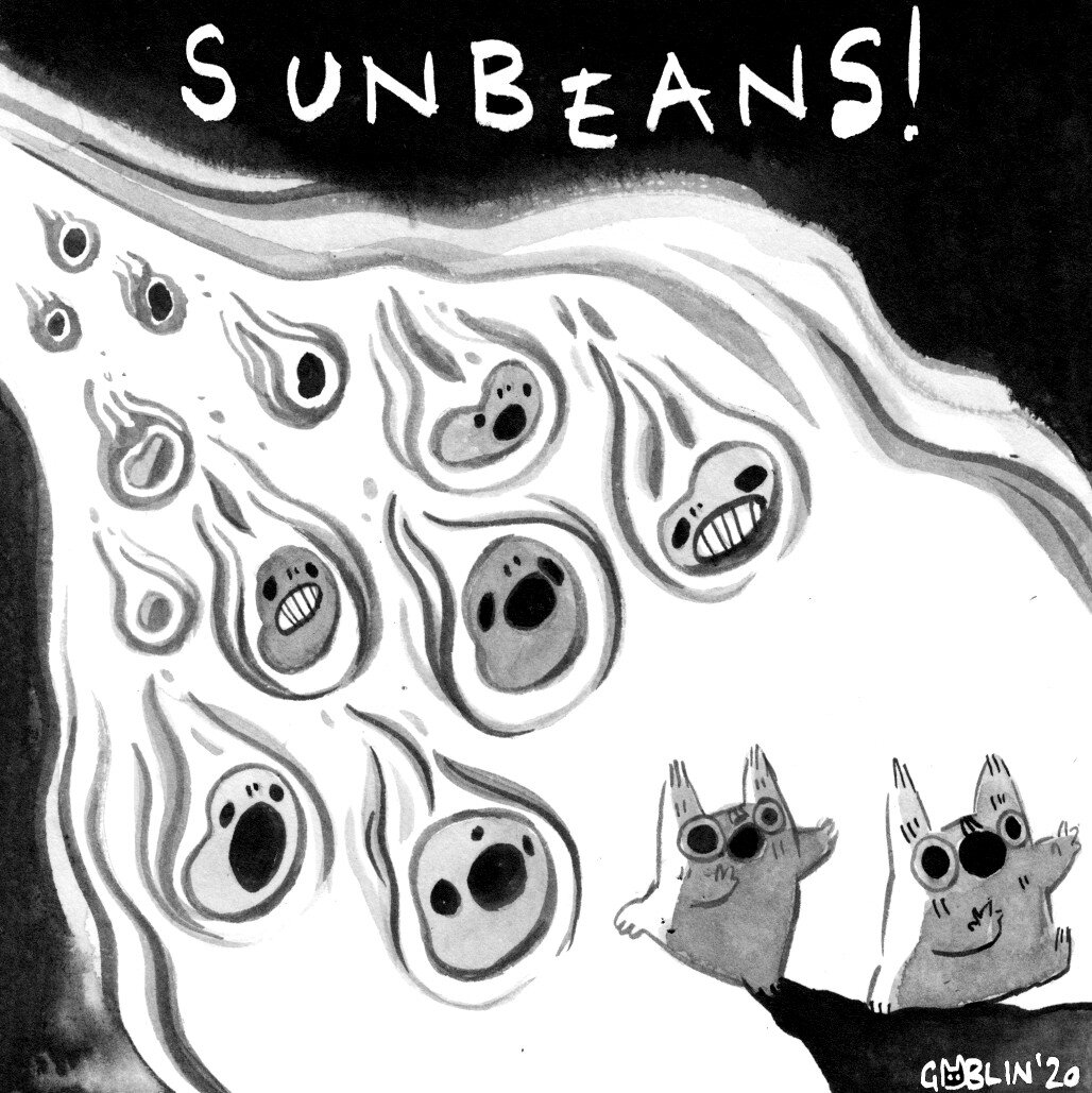 sunbeans4.jpg