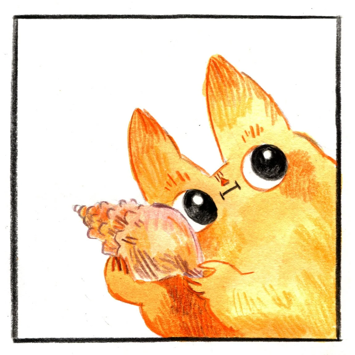 conch2.jpg