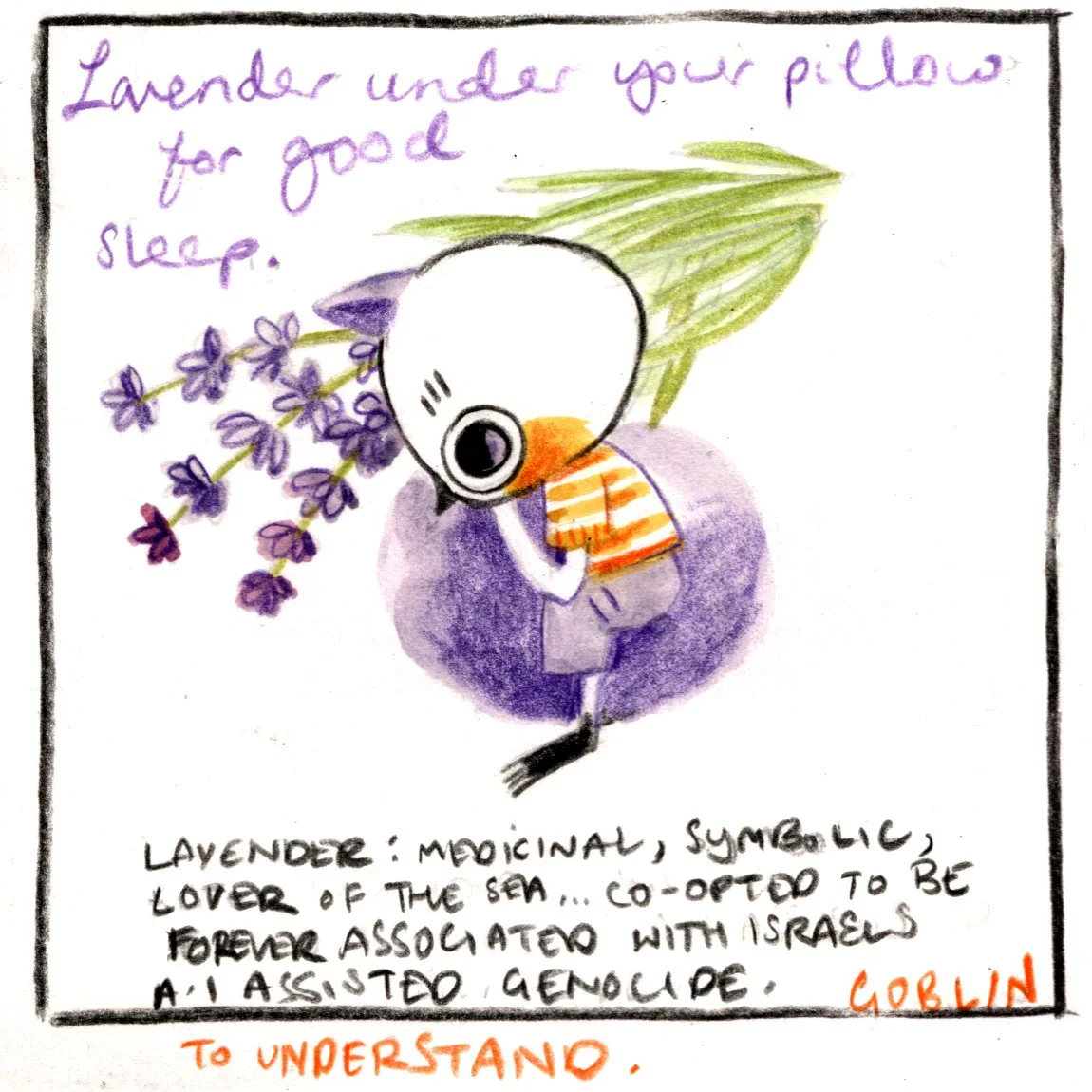 lavender6.jpg