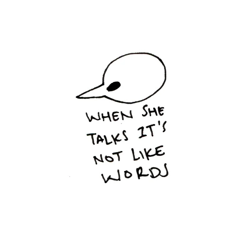 DBBP40.jpg
