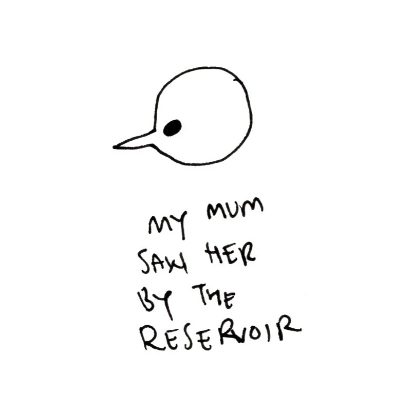 DBBP44.jpg