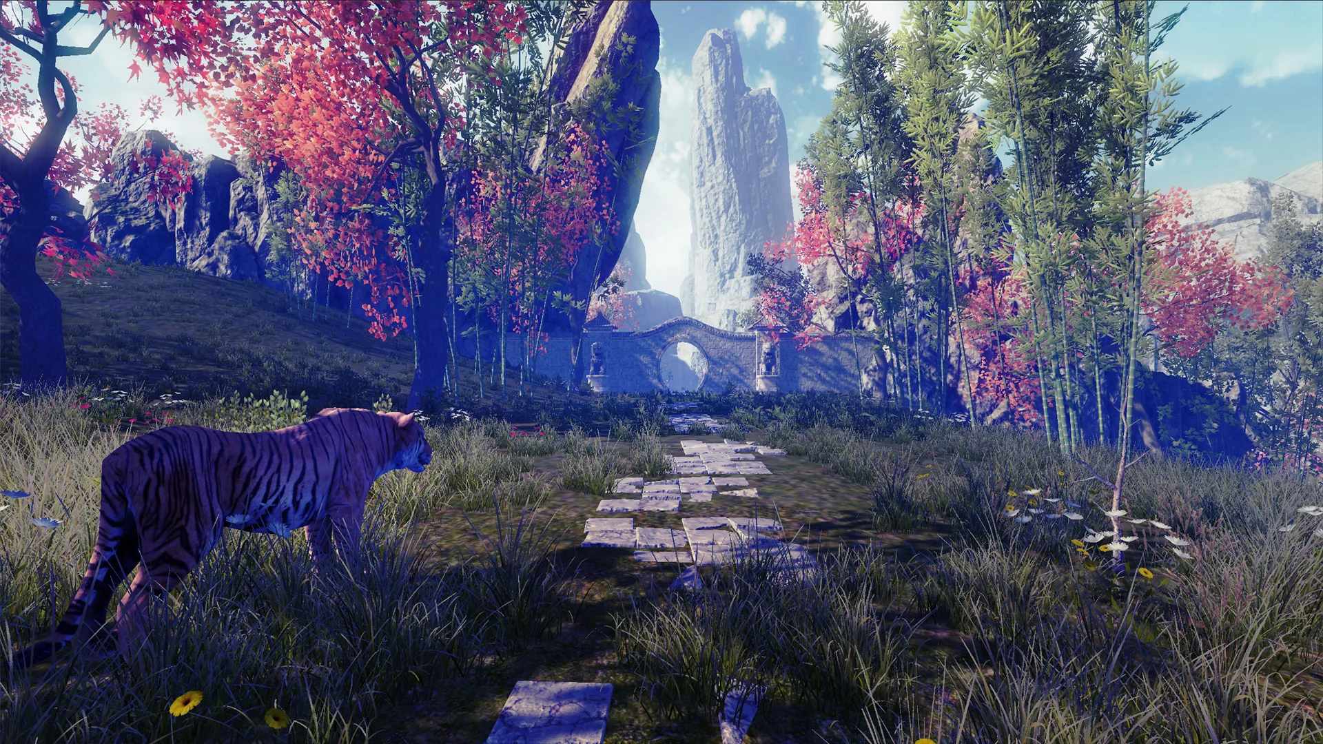 Nature Treks VR