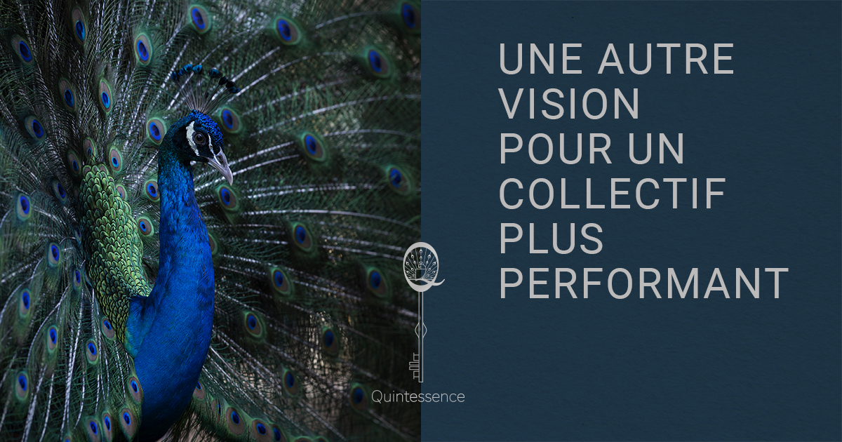 Une autre vision pour un collectif plus performant