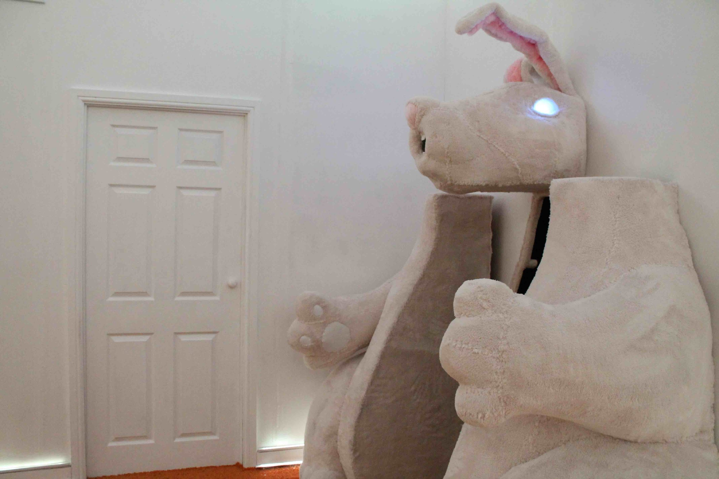 IT 7 open rabbit.jpg