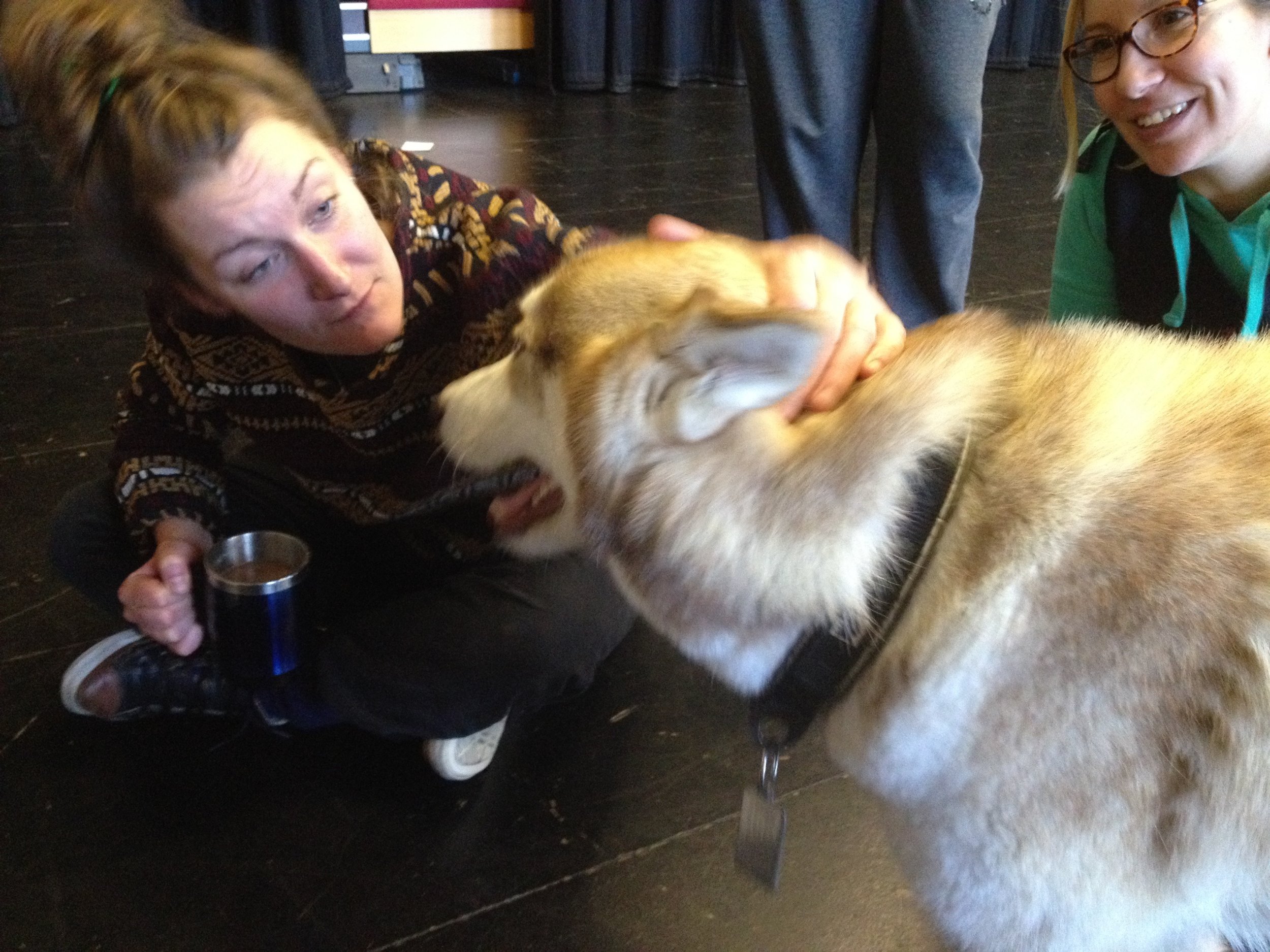 A dog interrupts the devising process at Dartington. Always good when this happens.