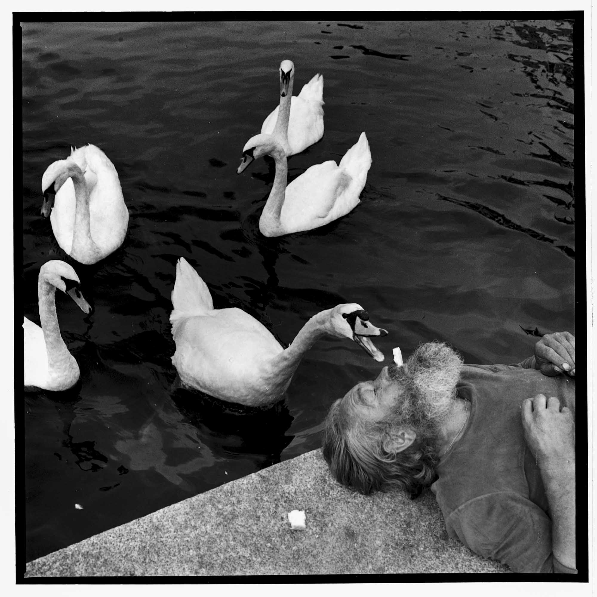 WilliamHeydt-Photographs-C3437-12.jpg