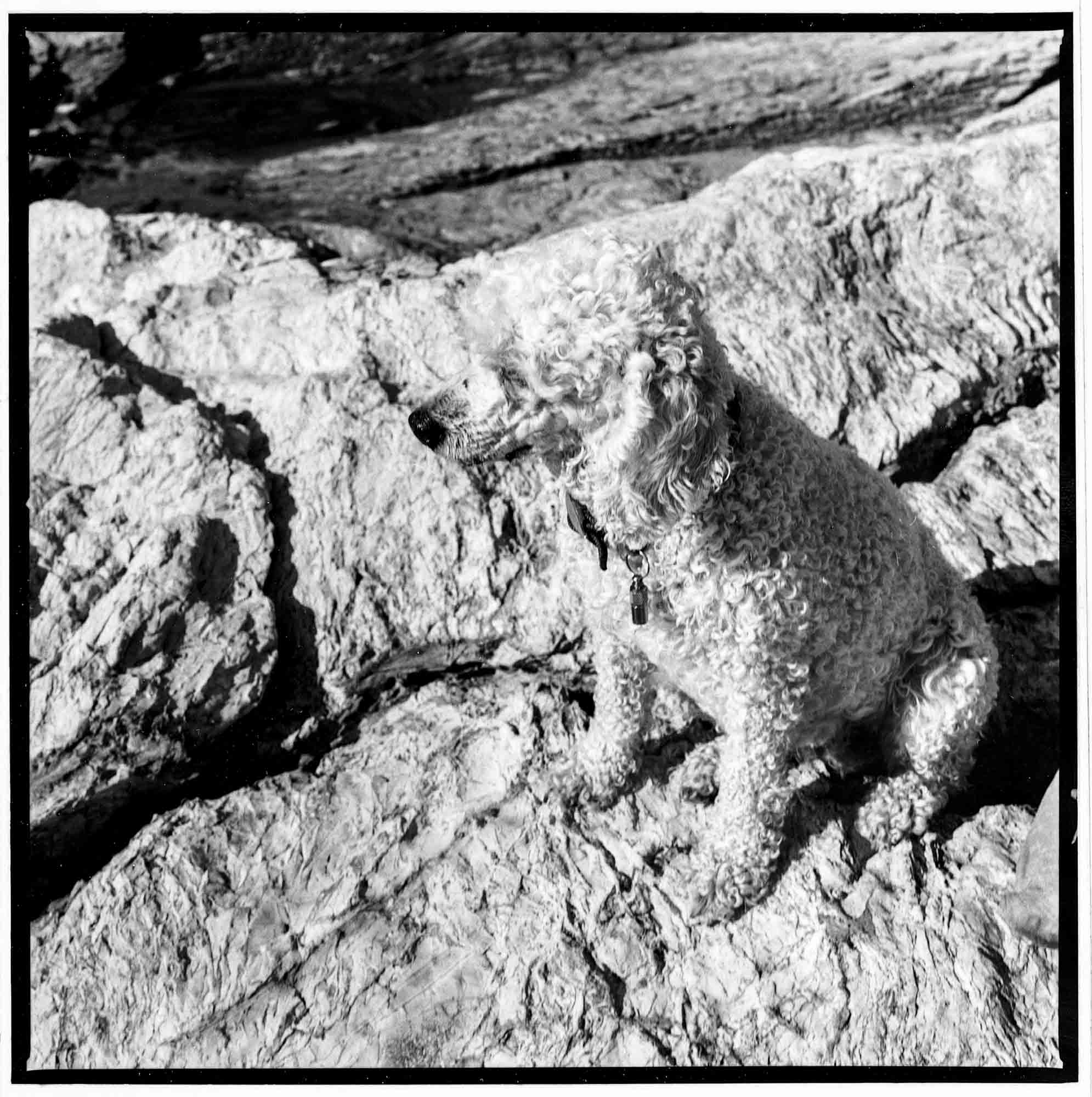 WilliamHeydt-Photographs-C3437-38.jpg