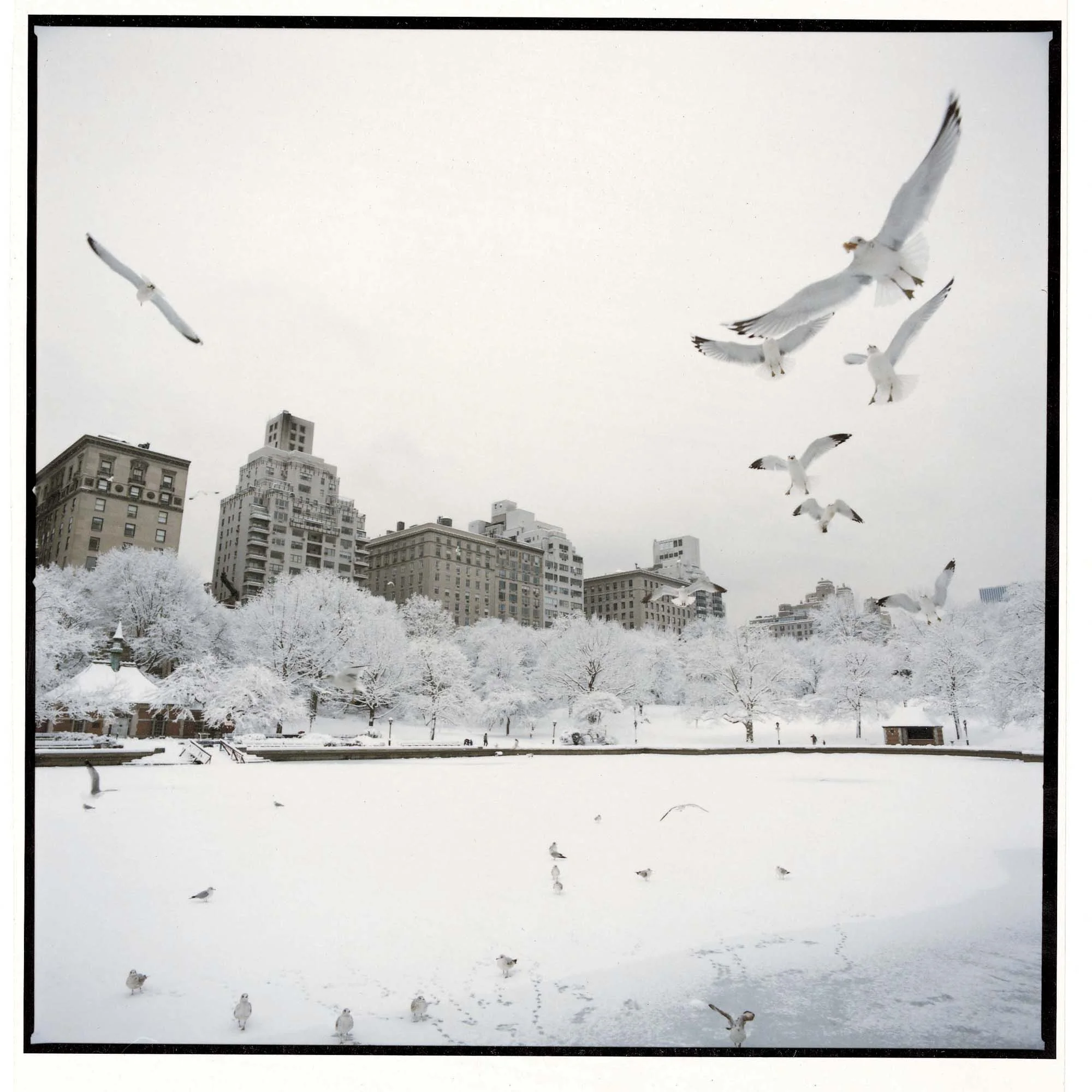 WilliamHeydt-Photographs-c3437-13.jpg