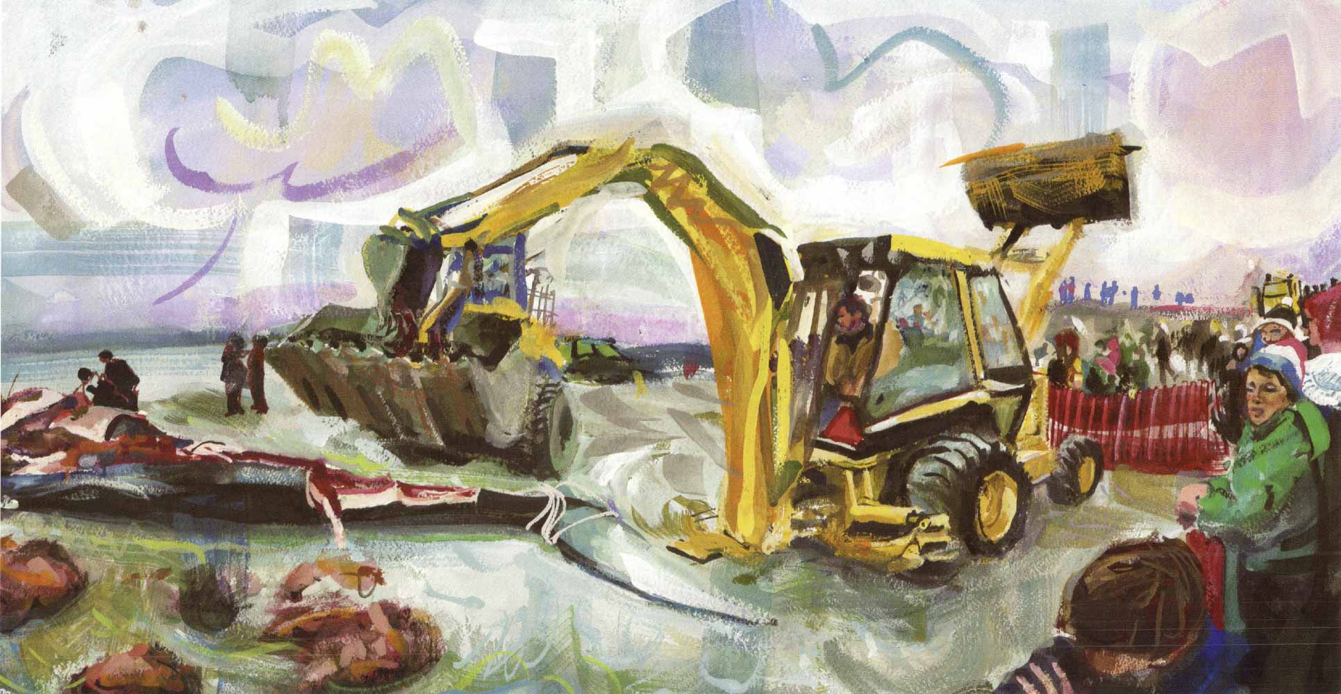 Blue whale on Second Beach, dissection with backhoe, No. 2, Winter 1998 