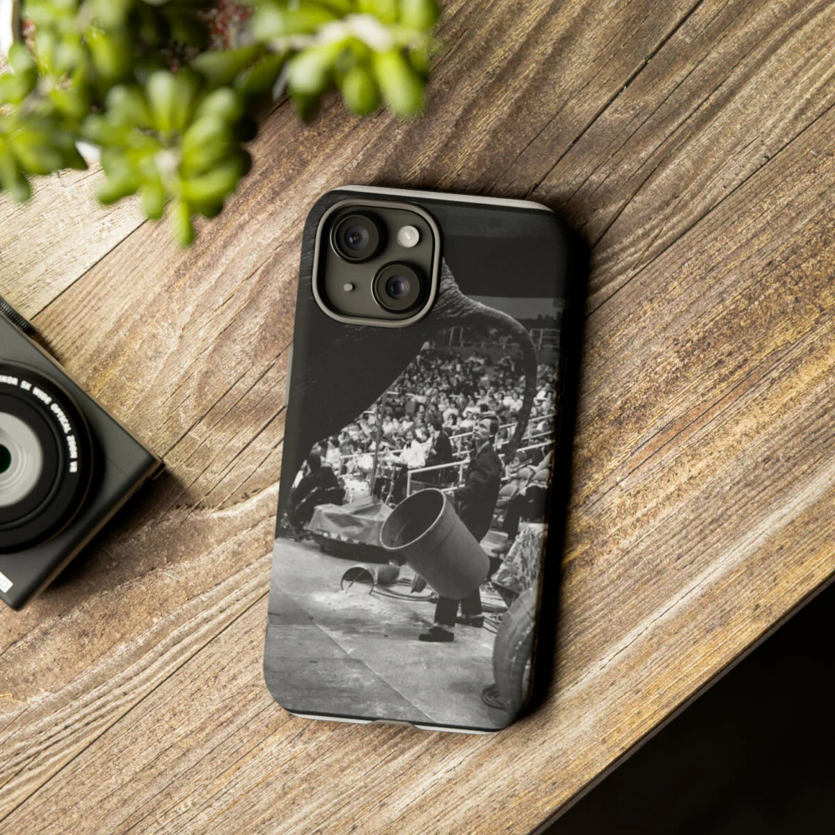 c2560ca3064ce1c942717be895a93d53