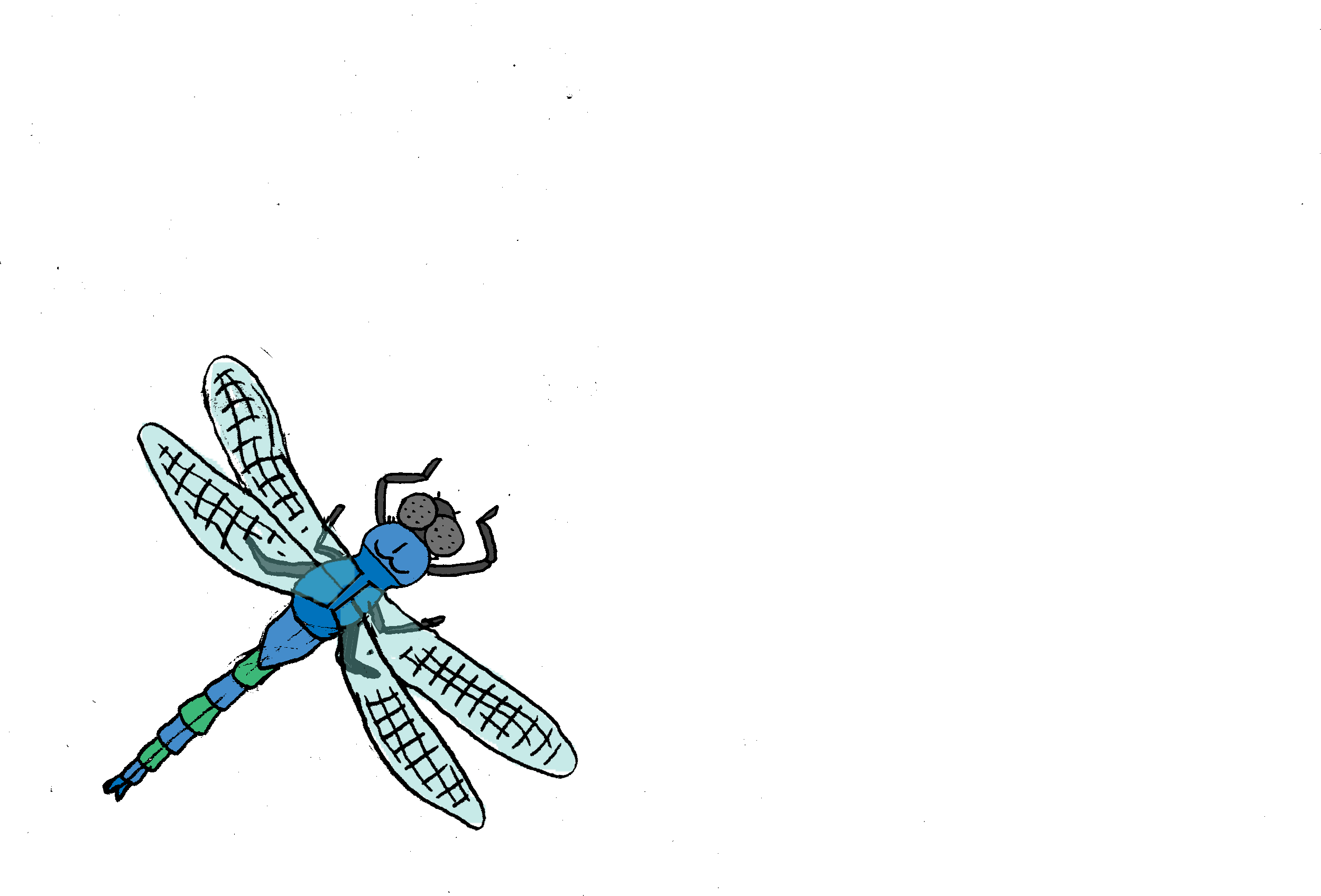 dragonfly.gif