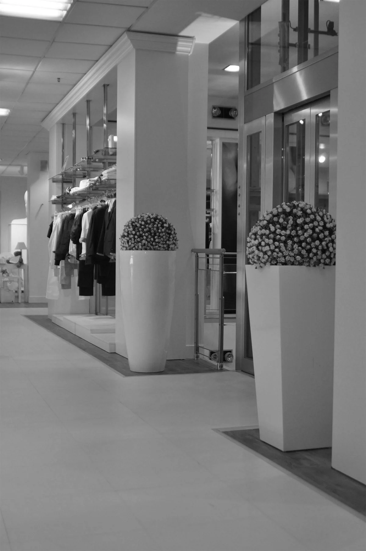 casapula10.jpg