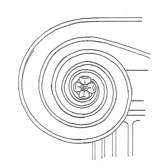 E: volute, scroll; F: volute f; G: Schnörkel m, Volute w