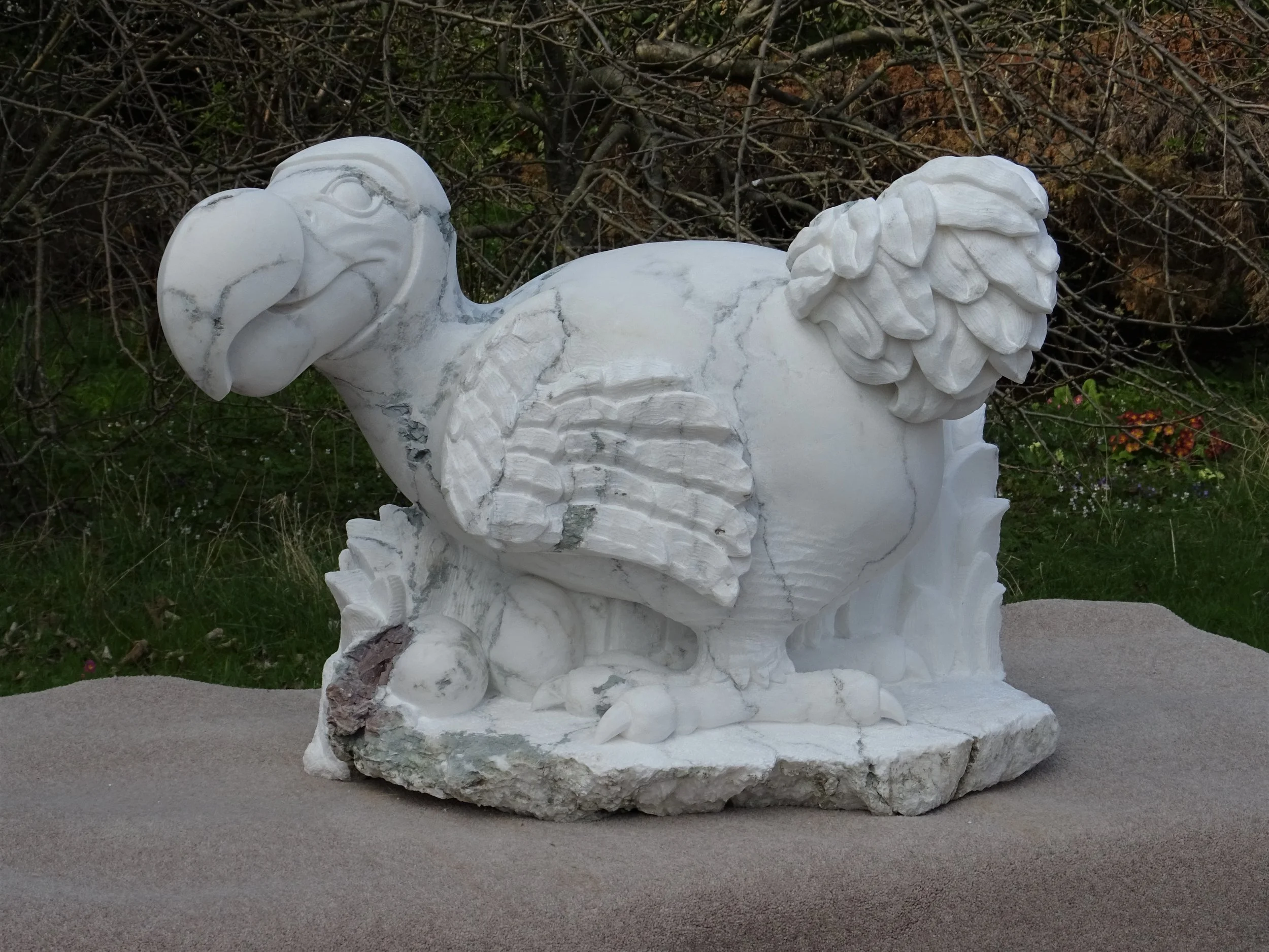 dodo.jpg