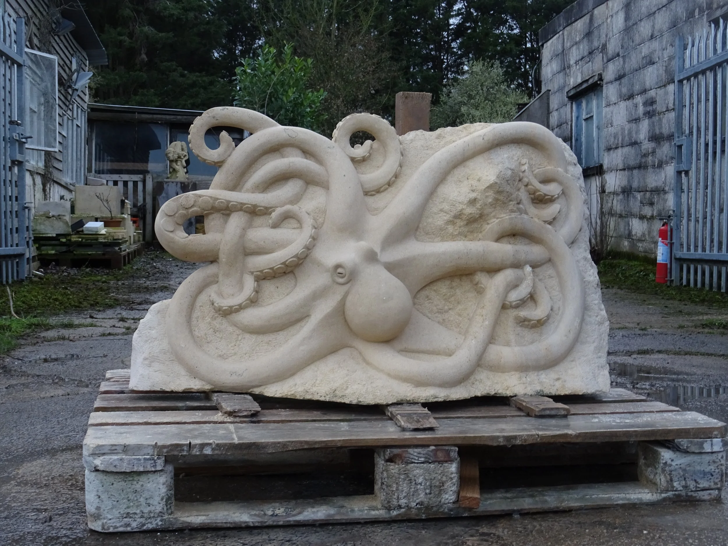 Octopus, Cadeby limestone, 60x107x40.JPG