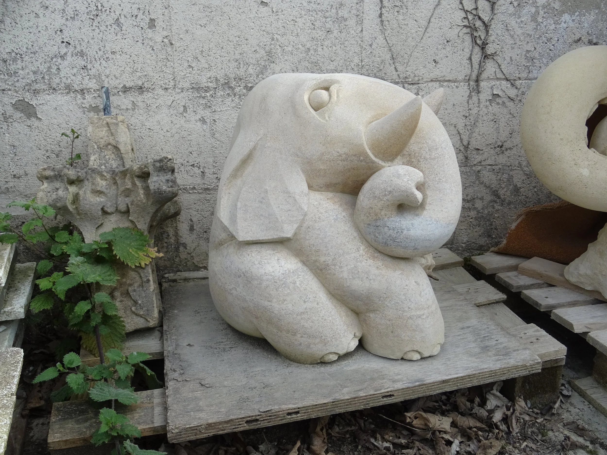 DSC09755.JPG