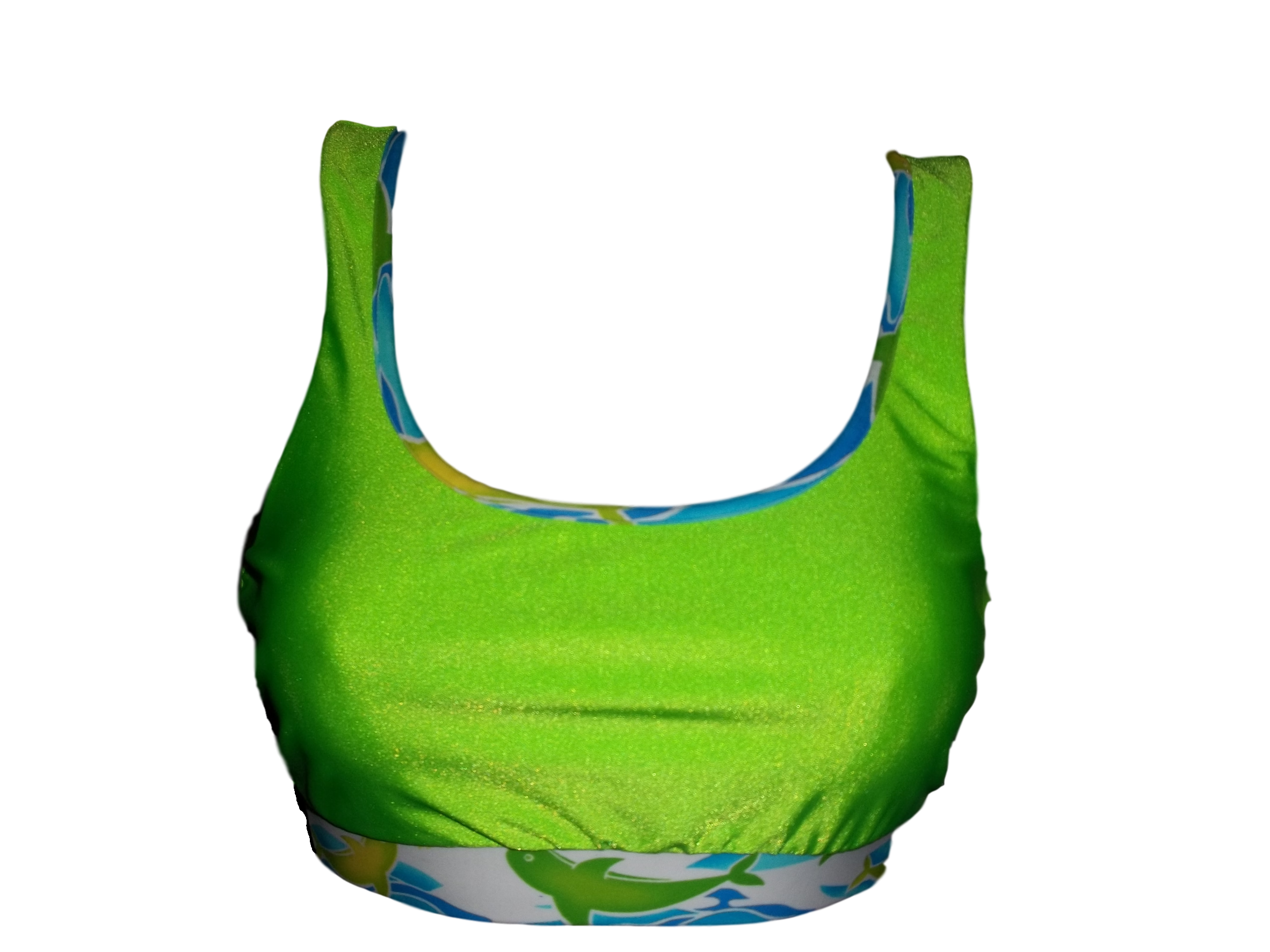 102_0635_clipped_rev_1.png