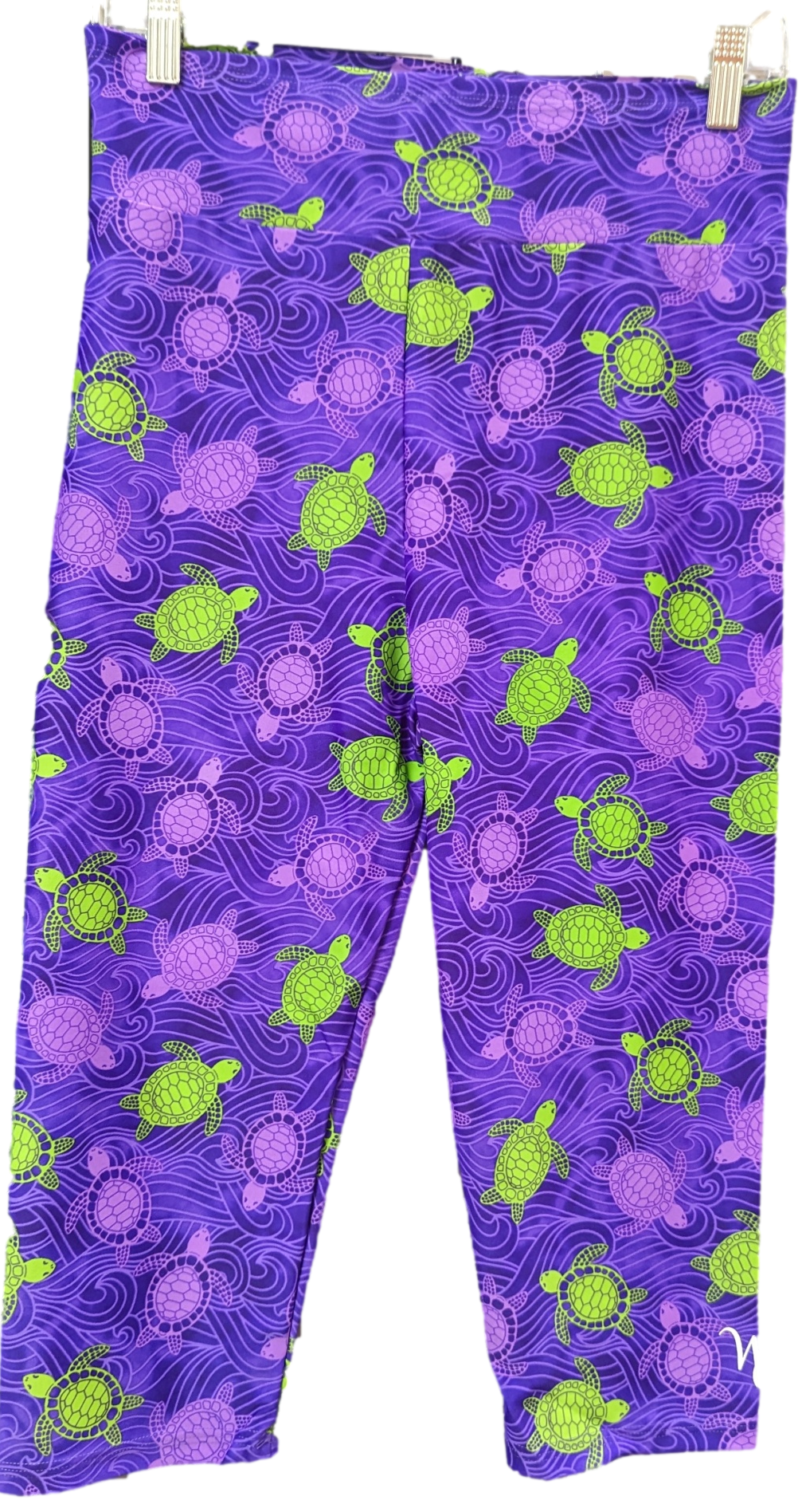 TOTAL TURTLE CAPRI_clipped_rev_2(1).png