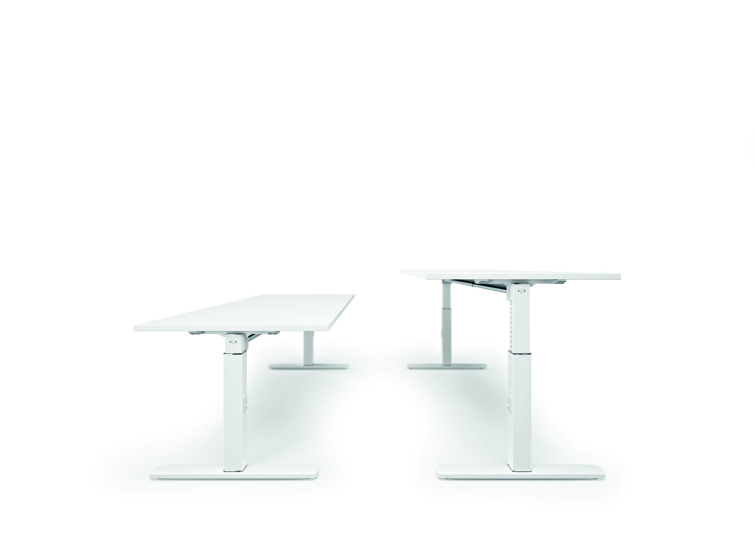 DVO Nobu Height Adjustable