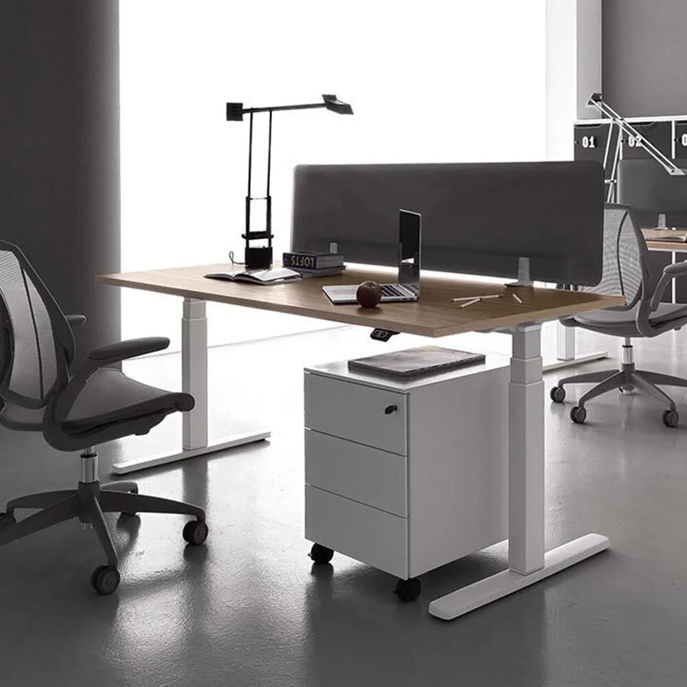 Electric Sit/Stand Desk