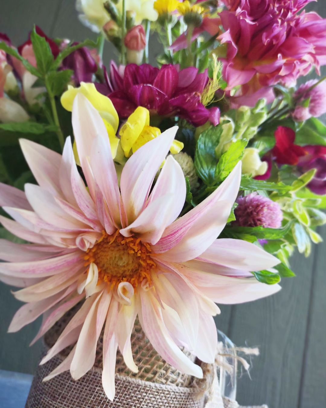 💐☺️ Look at my U-pick bouquet from @coldcreeknaturalfarm and she's all organic! 

#upickflowers #upickfarm #handpickedbouquet #dahliasfordays #weddingflowersbouquet #coldcreeknaturalfarm #cottagegardenflowers #easttexasphotographer #nosprayflowers #