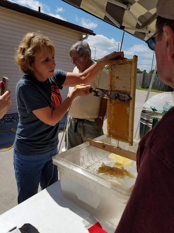 Honey Extraction
