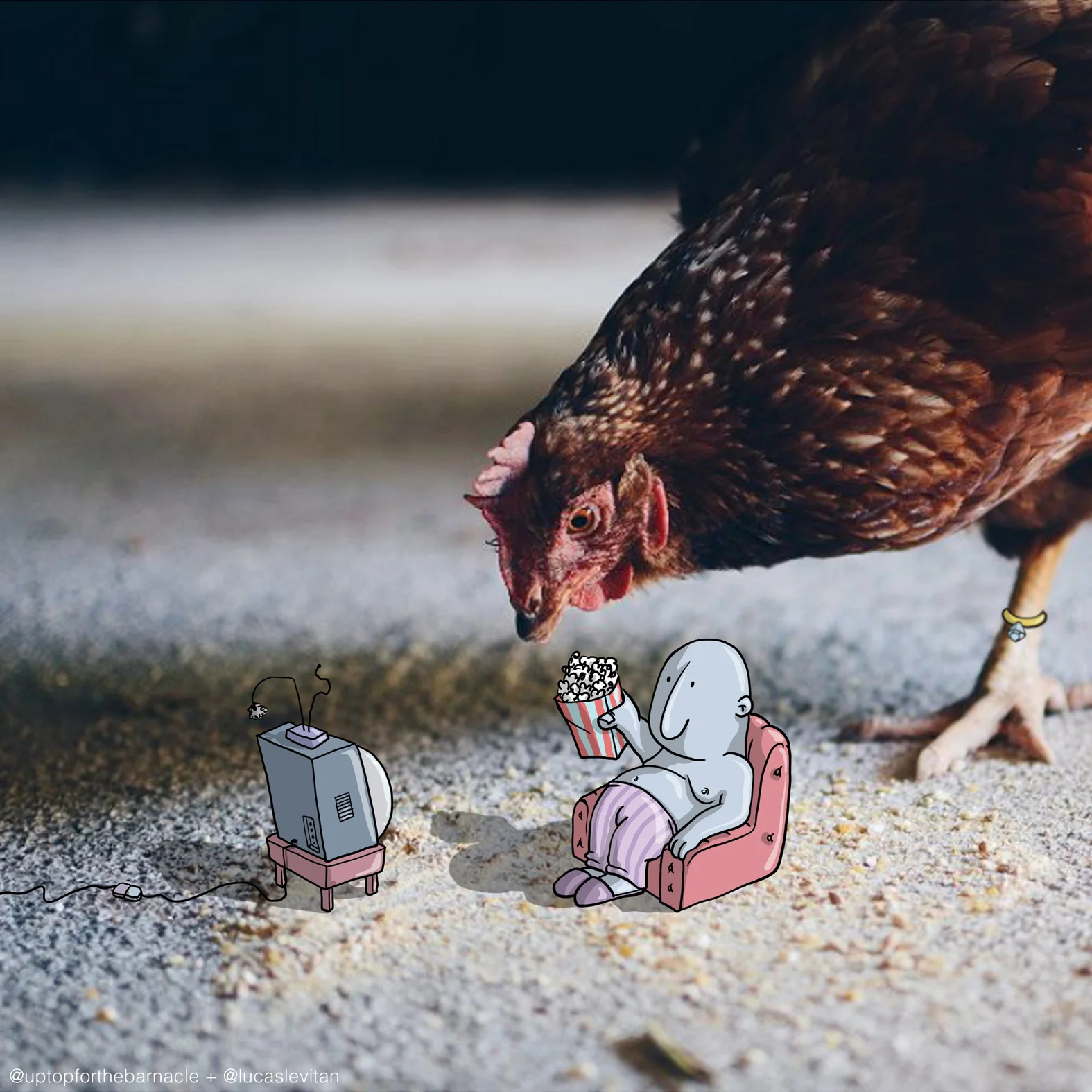 uptopforthebarnacle + lucaslevitan Chapter 2.jpg