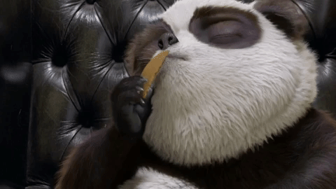 panda lucas levitan.gif