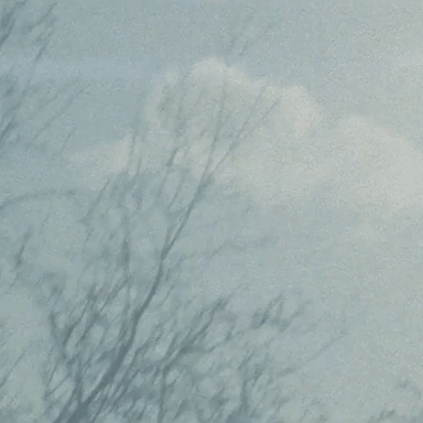 GIF by Lucas Levitan-downsized_large.gif