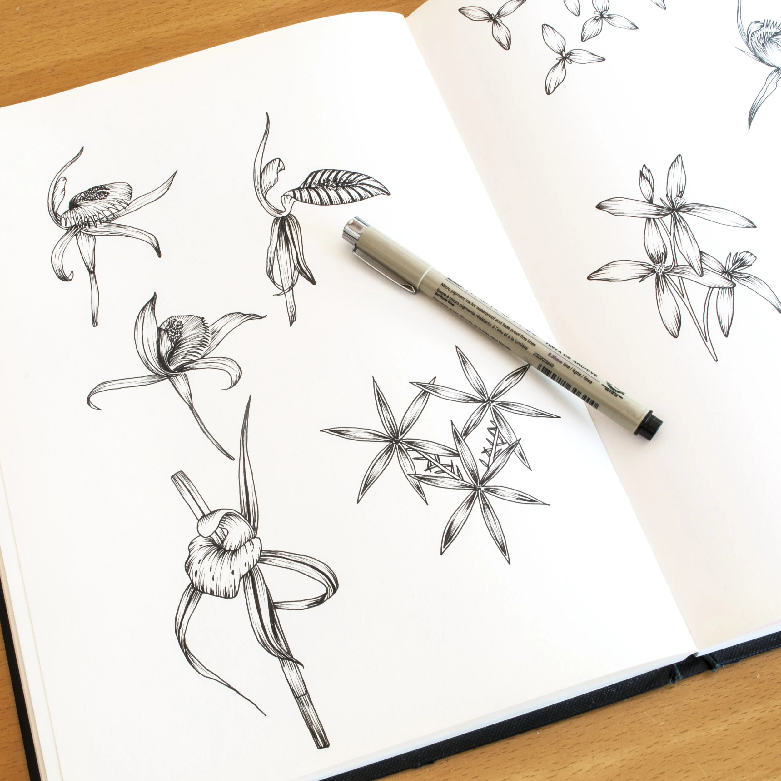 Sketches
