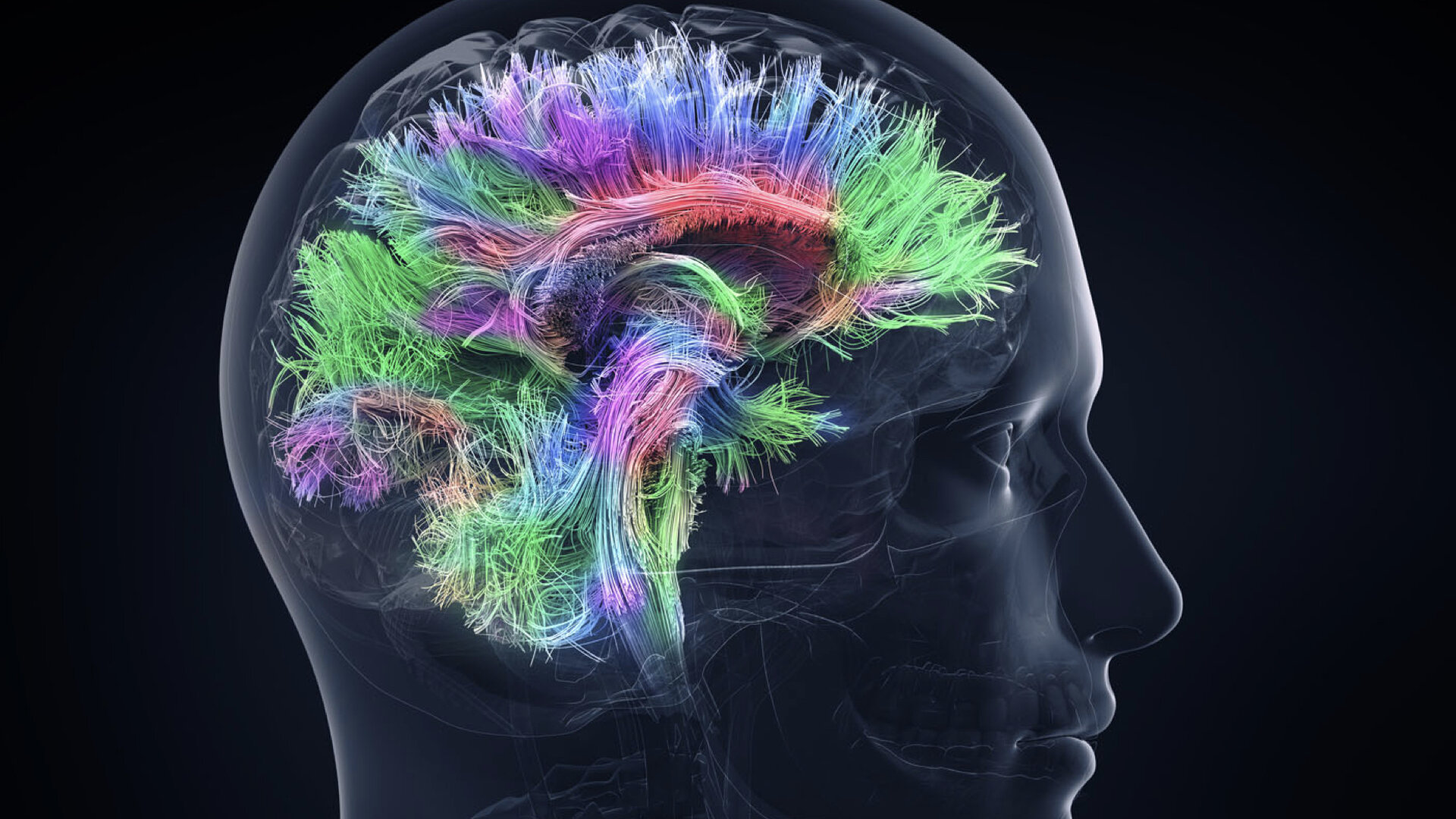 Brainwave. Визуализация мозга. Обучаемость мозга. Нейро мозг.