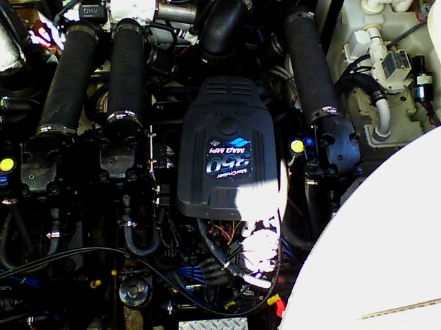 FLIR0114.jpg
