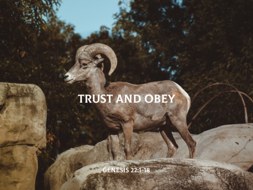 Trust and Obey