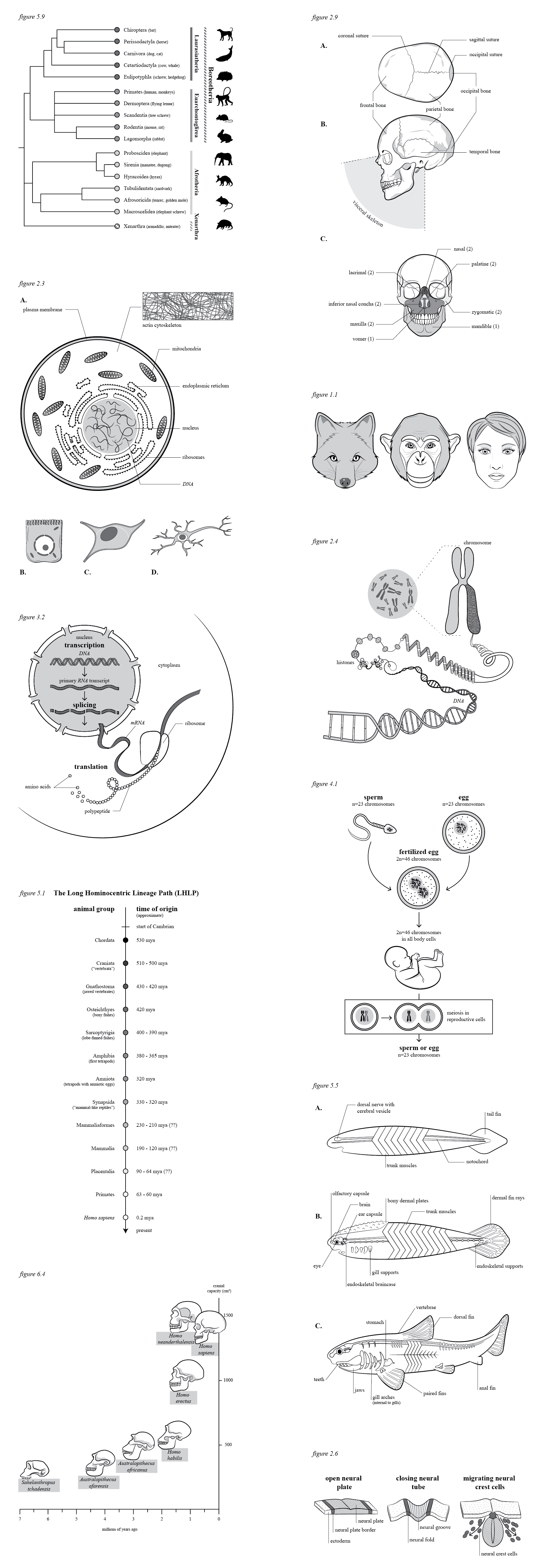 Making Faces Figures@2x.png