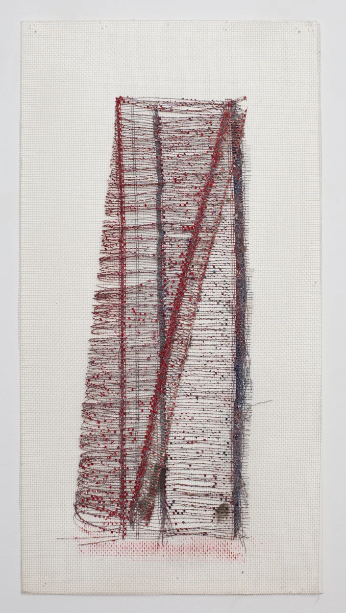 Série des "Grillages", grillage et acrylique