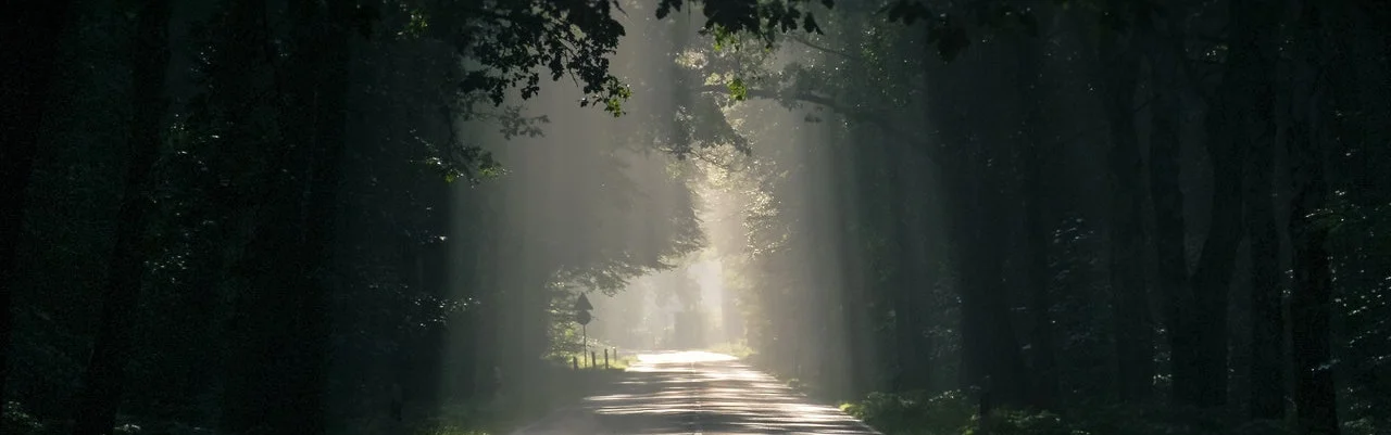  Heavily shaded road through woods 