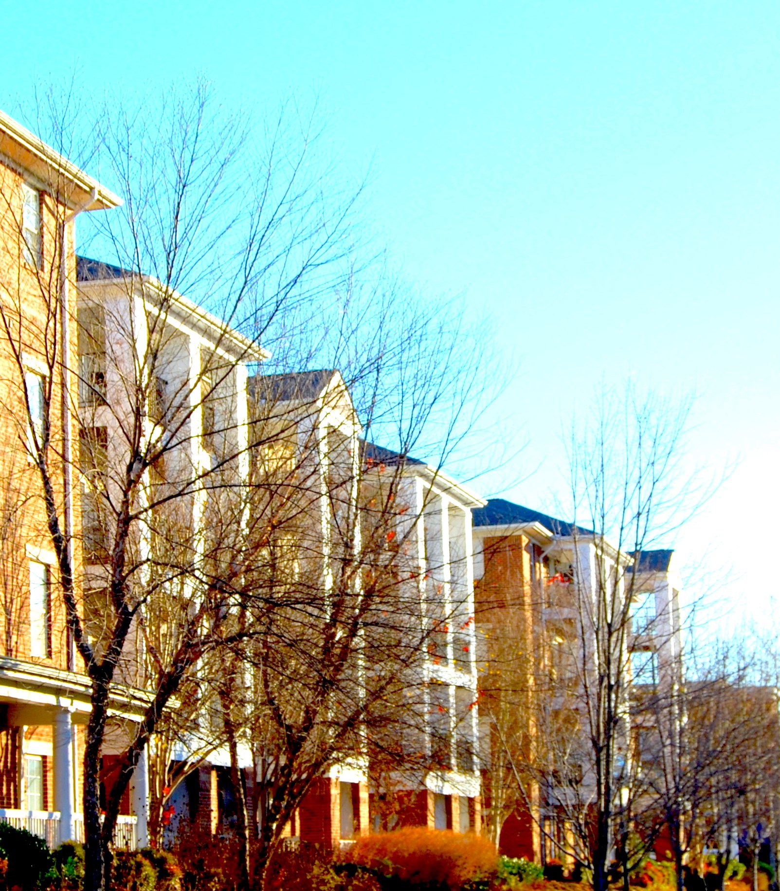 Kentlands - Streetscape 2 - web.jpeg
